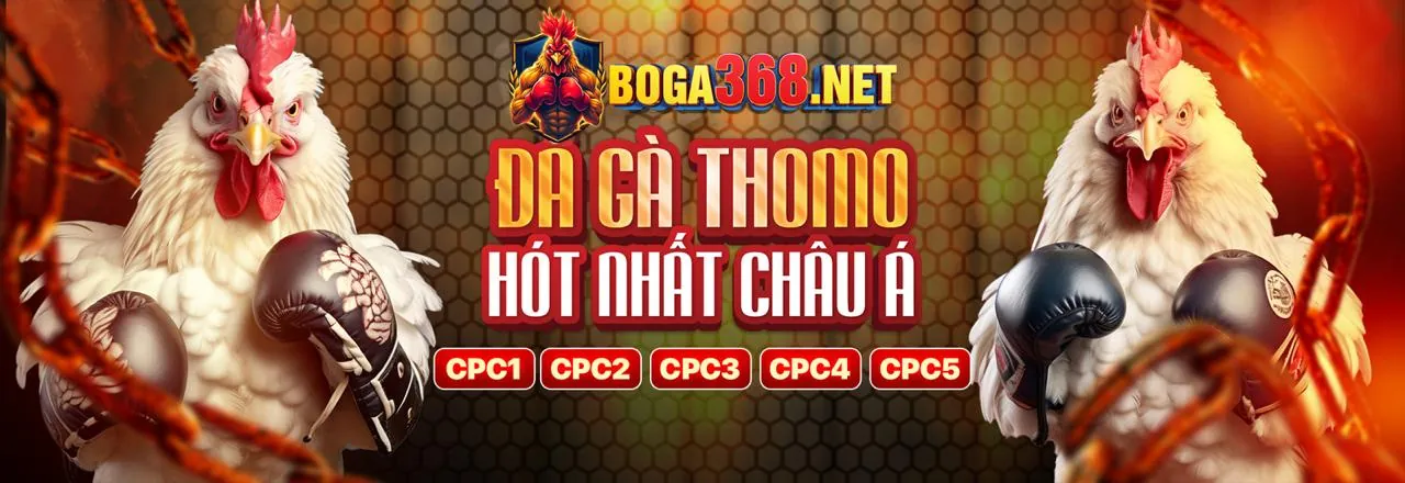 Tổng quan các phương thức thanh toán 32win3